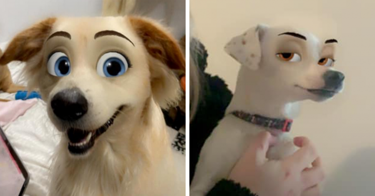 Turn Your Pet Into A Disney Character With This Super Cool Snapchat Filter