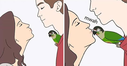 10+ Hilarious Comics About Parrot Illustrated By A Bird Owner