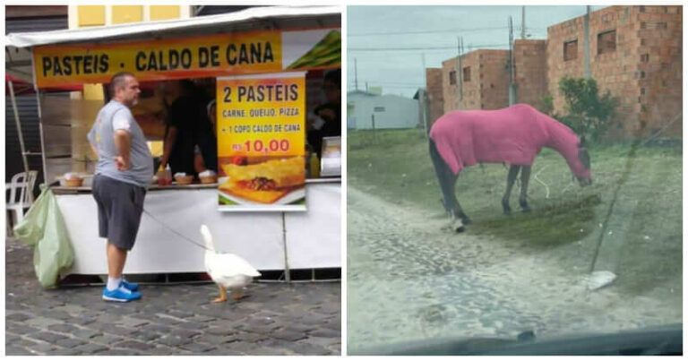 These 22 Hilarious Moments Below Will Prove Brazilians Have Great Sense Of Humor