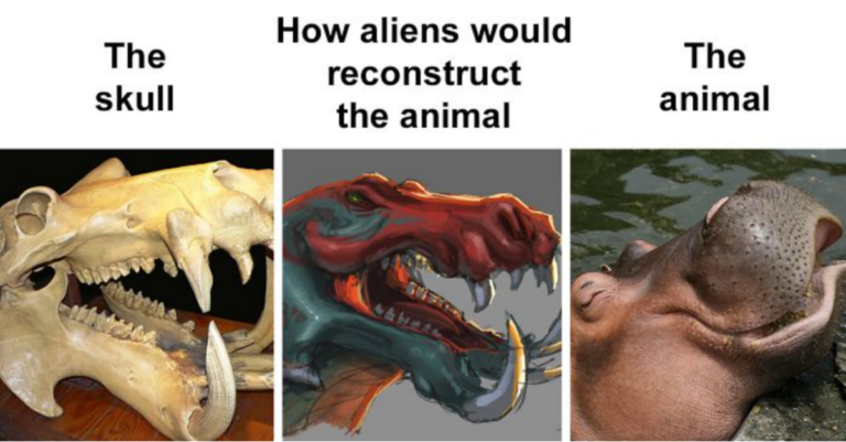 28 Pics Showing Difference Between Real Animal Vs How Aliens Would Recreate Them By Their Skulls