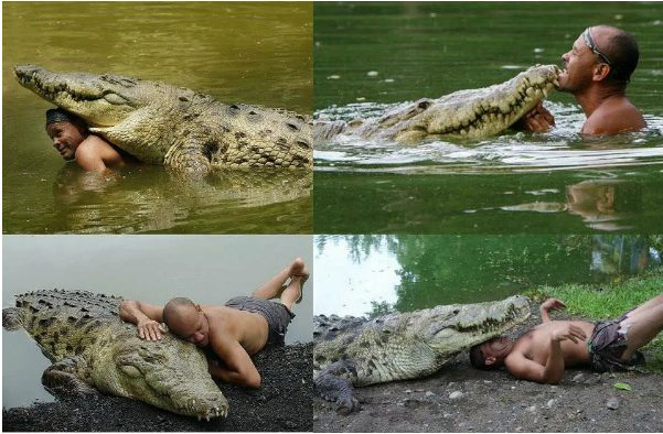 A 20-year-old history of phenomenal friendship between man and crocodile
